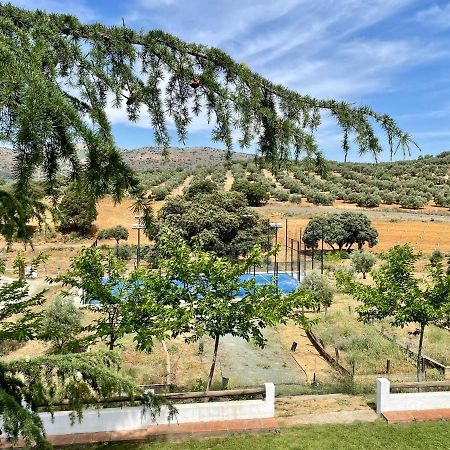 Santa Marta Complejo Rural Con Pista De Padel Pensionat Archidona Exteriör bild