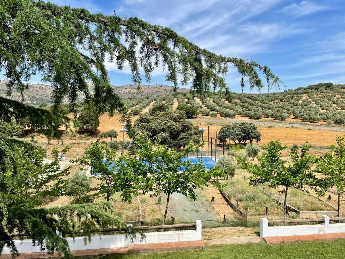 Santa Marta Complejo Rural Con Pista De Padel Pensionat Archidona Exteriör bild